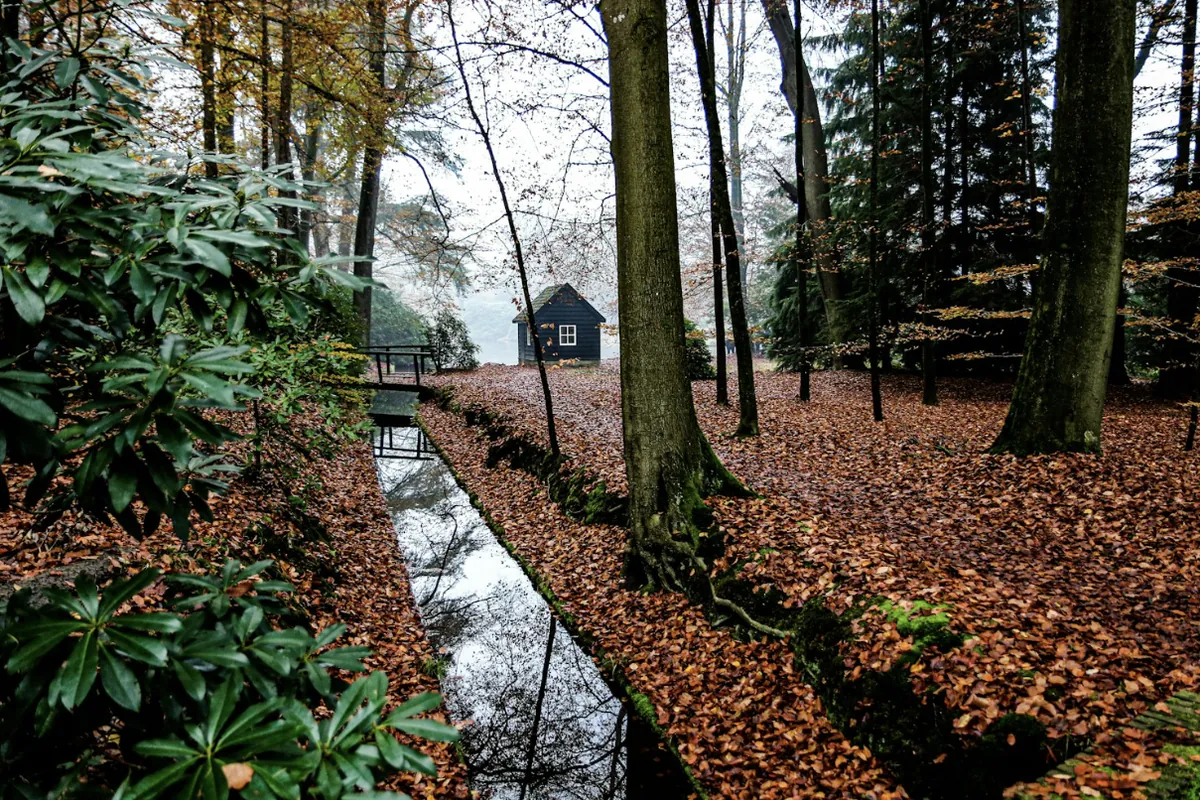 Een beek tussen de herfstbomen in het Paleispark van Het Loo in Apeldoorn