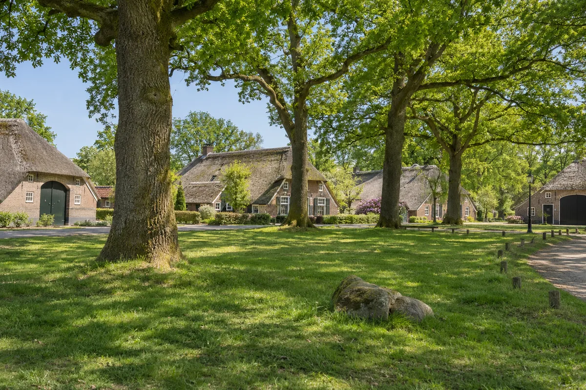 Esdorp in Drenthe met een brink, oude eiken en Saksische boerderijen
