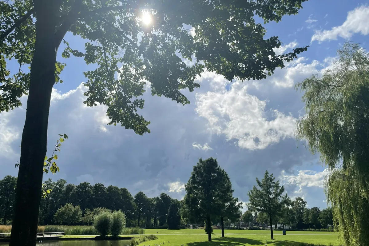 Het Volkspark in Enschede met een vijver, grasvelden en hoge bomen